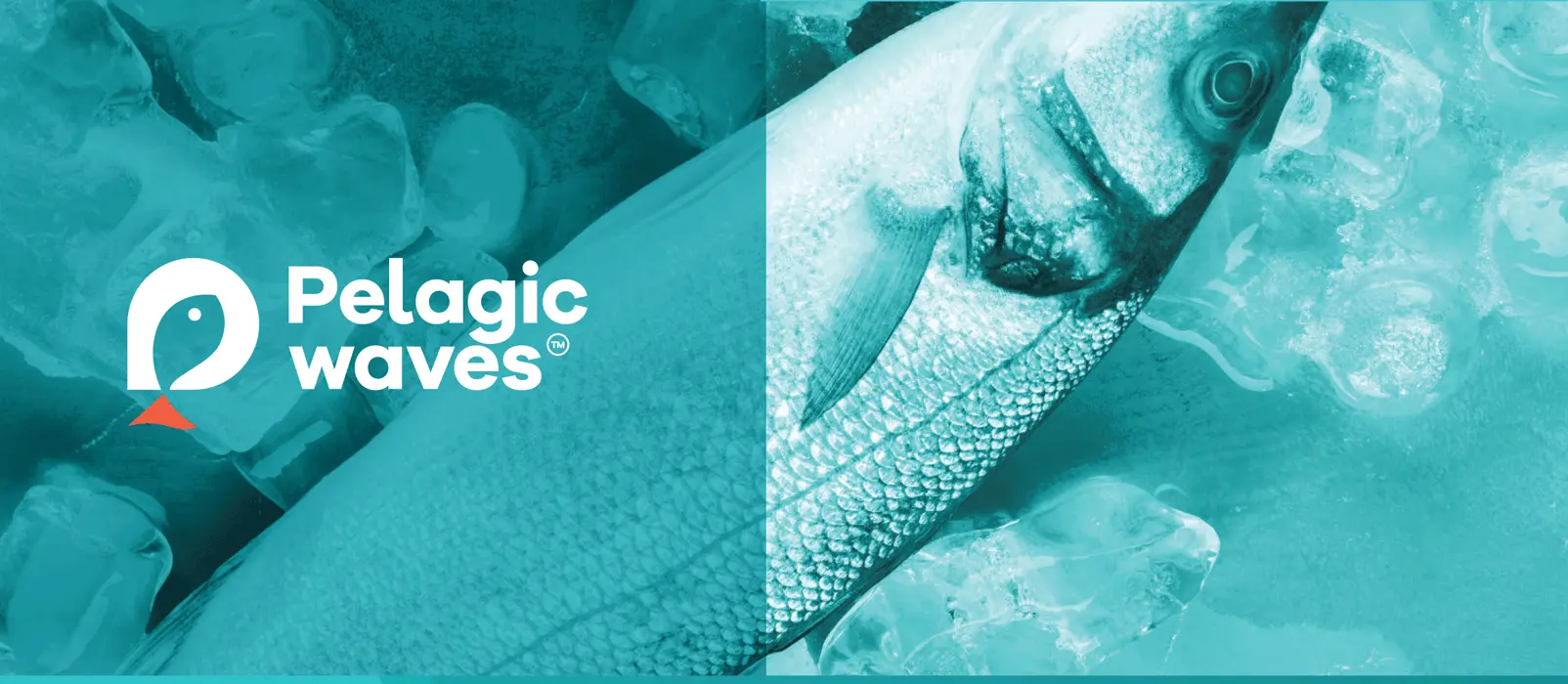 portfolio-details-fig